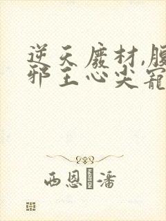 逆天废材,腹黑邪王心尖宠