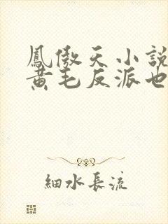 凤傲天小说里的黄毛反派也想幸