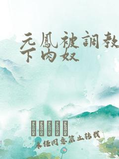 元凤被调教成胯下肉奴