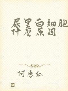 尿里白细胞高是什么原因