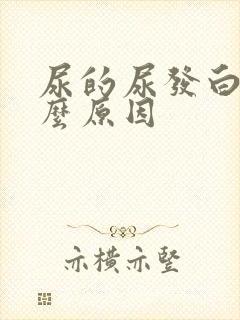 尿的尿发白是什么原因