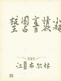 校园言情小说男主占有欲超强