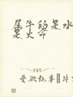 属牛的是水命还是火命