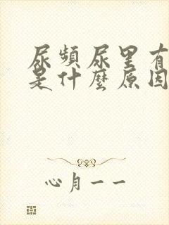 尿频尿里有泡沫是什么原因