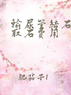 输尿管结石体外取石费用