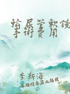 输尿管软镜取石手术费用