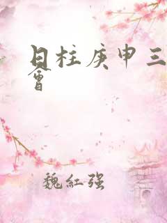 日柱庚申三命通会