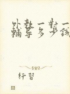 外教一对一英语辅导多少钱