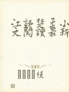 江译楚柔小说全文阅读最新章节列表