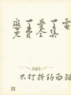 恋了爱了电视剧免费全集