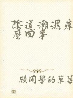 阴道潮湿痒是怎么回事