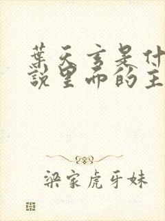 叶天玄是什么小说里面的主角