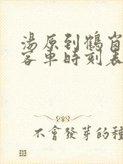 汤原到鹤岗最新客车时刻表