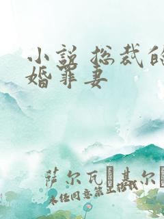 小说 总裁的新婚罪妻