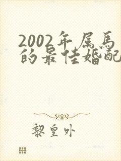 2002年属马的最佳婚配男