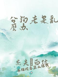 公狗老是乱尿怎么办