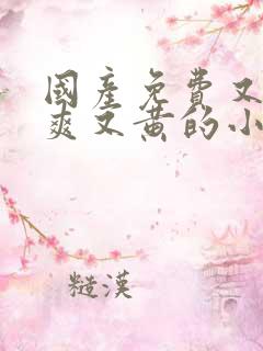 国产免费又色又爽又黄的小说