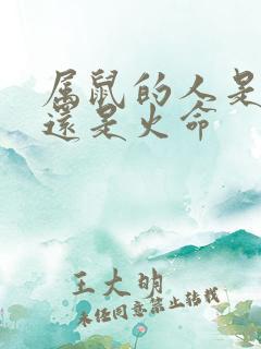 属鼠的人是水命还是火命