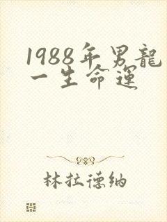 1988年男龙一生命运