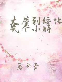 大庆到绥化客车几个小时