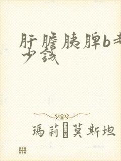 肝胆胰脾b超多少钱