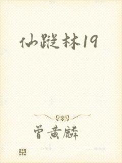 仙踪林19