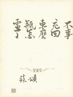 电瓶车充不进电了怎么回事