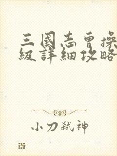 三国志曹操传压级详细攻略