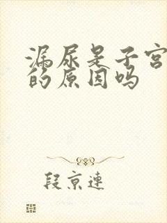 漏尿是子宫脱垂的原因吗