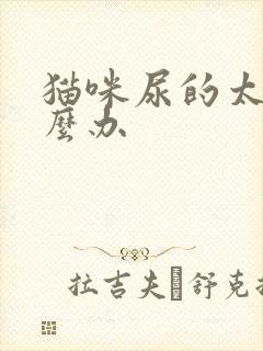 猫咪尿的太臭怎么办