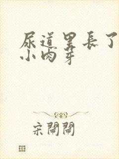 尿道里长了一个小肉芽