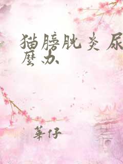 猫膀胱炎尿闭怎么办