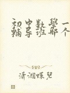 初中数学一对一辅导班哪个好