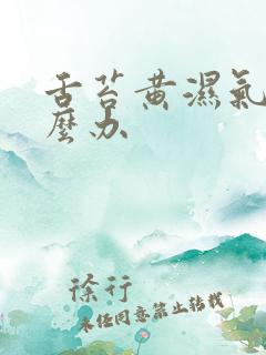 舌苔黄湿气重怎么办