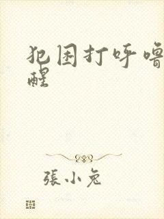 犯困打呼噜睡不醒