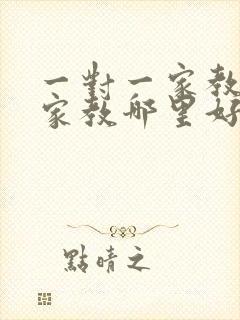 一对一家教上门家教哪里好