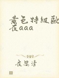 黄色特级欧美午夜aaa