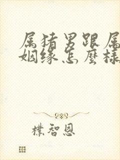 属猪男跟属兔女姻缘怎么样