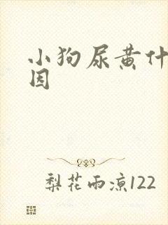 小狗尿黄什么原因