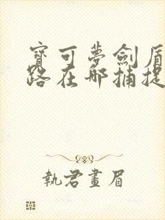 宝可梦剑盾利欧路在哪捕捉