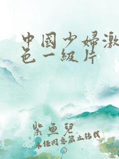 中国少妇激情黄色一级片