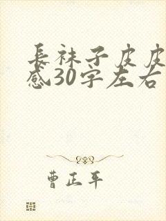 长袜子皮皮读后感30字左右