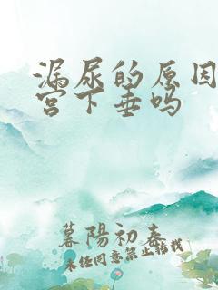 漏尿的原因是子宫下垂吗