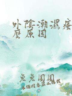 外阴潮湿瘙痒什么原因