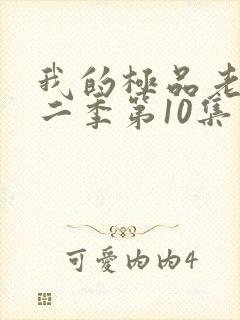 我的极品老婆第二季第10集