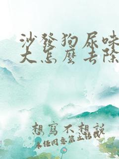 沙发狗尿味道很大怎么去除