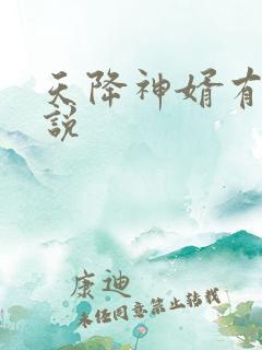 天降神婿有声小说