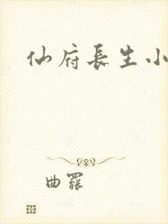 仙府长生小说版