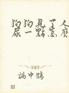 狗狗见了人就会尿一点怎么回事