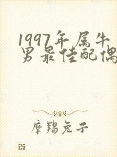 1997年属牛男最佳配偶属相